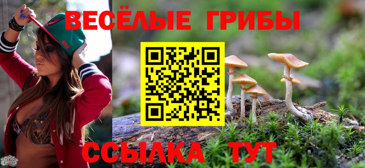 Псилоцибиновые грибы Cubensis Городец