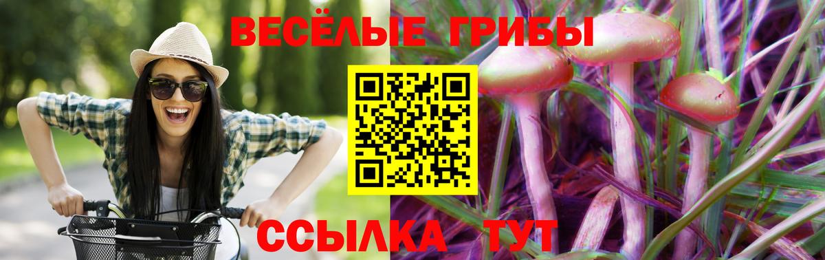 магазин    Галлюциногенные грибы мицелий  Городец  Вход с VPN  Галлюциногенные грибы GOLDEN TEACHER 